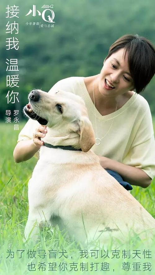 仿制假日本藥科大學毕业证